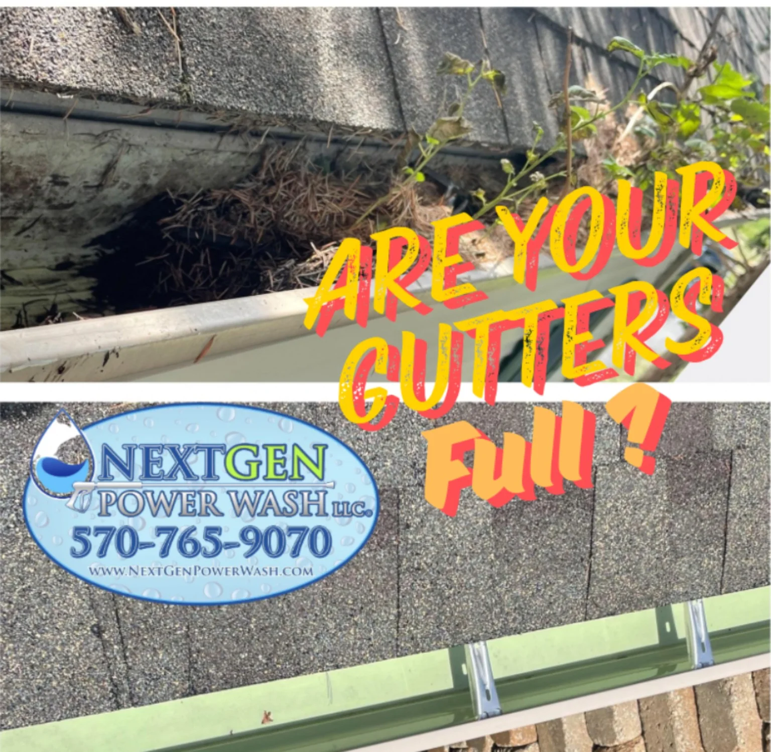 Gutter clean-out before and after