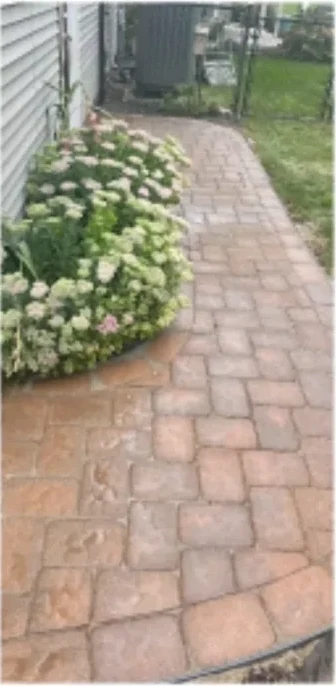 Garden paver walkway after cleaning by NextGen Power Wash